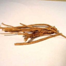 Devil's Shoestring 1/2 Oz. (Vibumum alinfolium)